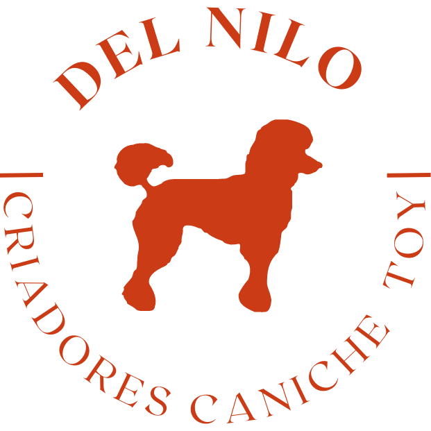 Caniche Toy del Nilo en opiniones y reseñas.