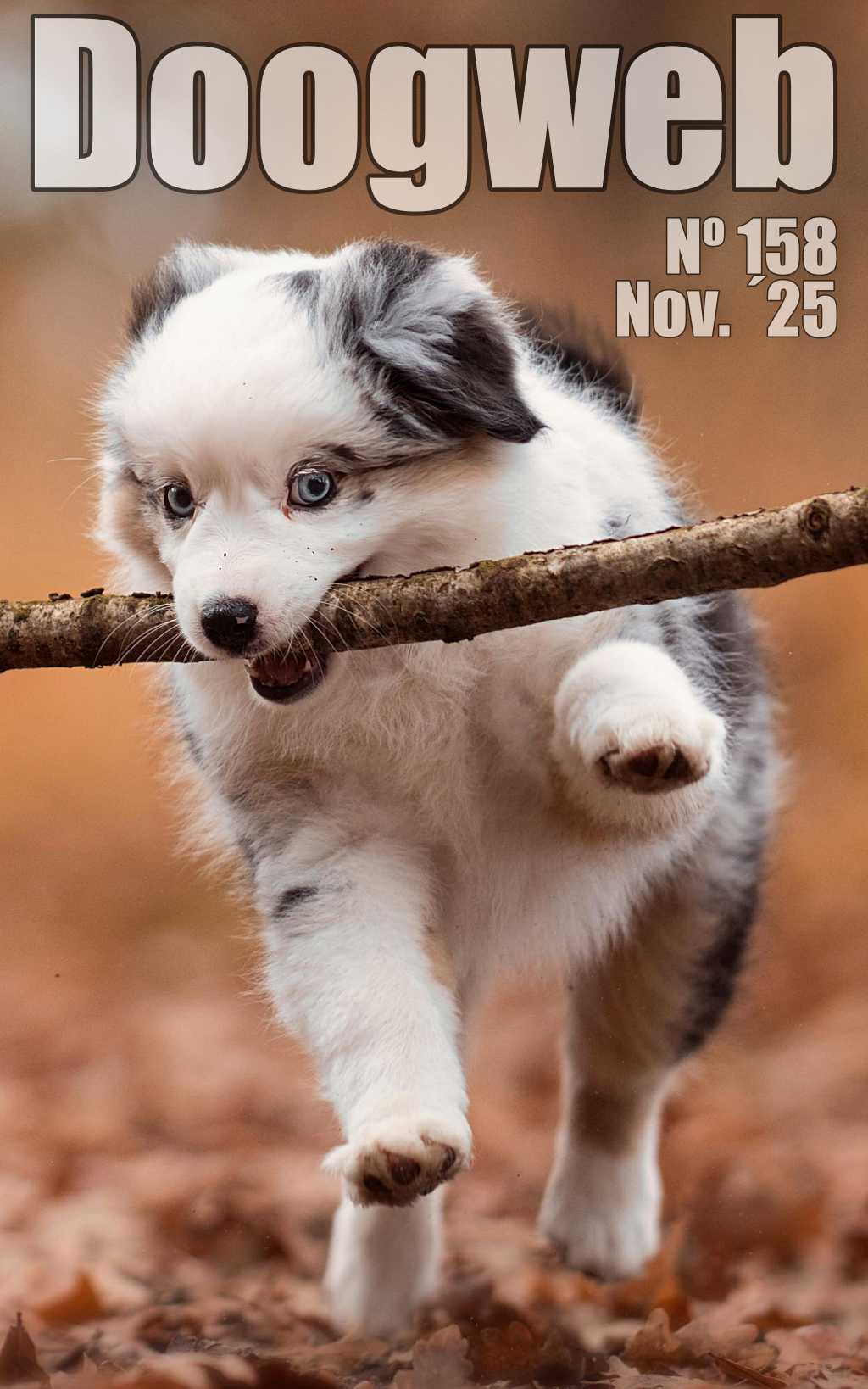 Los mejores artículos de doogweb en noviembre 2025.