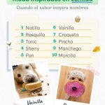 Informe Rover sobre los nombres de perro de 2025 Informe Rover sobre los nombres de perro de 2025.