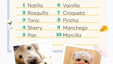 Informe Rover sobre los nombres de perro de 2025.