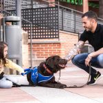 Perros de asistencia, una asignatura pendiente Perros de asistencia, una asignatura pendiente.