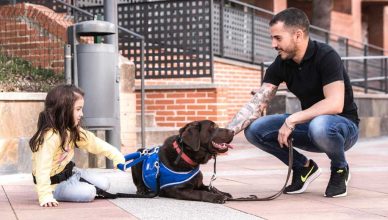 Perros de asistencia, una asignatura pendiente.