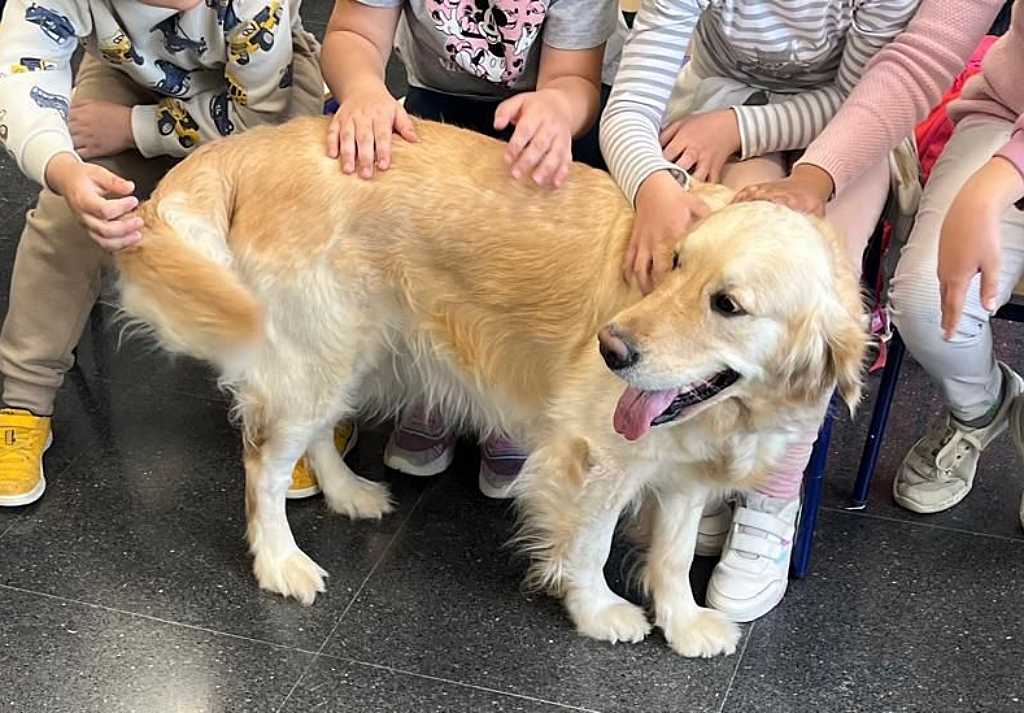 La Fundación Royal Canin colabora con distintos proyectos en 19 países del mundo en los que los gatos y los perros son los auténticos héroes. Uno de los proyectos apoyados en España es el de Yaracan.