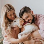 Navidad pet-friendly: pequeños gestos que convierten tu hogar en un refugio festivo Navidad pet-friendly: pequeños gestos que convierten tu hogar en un refugio festivo.