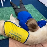 Ganadores de los Premios BetterWithPets.