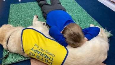 Ganadores de los Premios BetterWithPets.