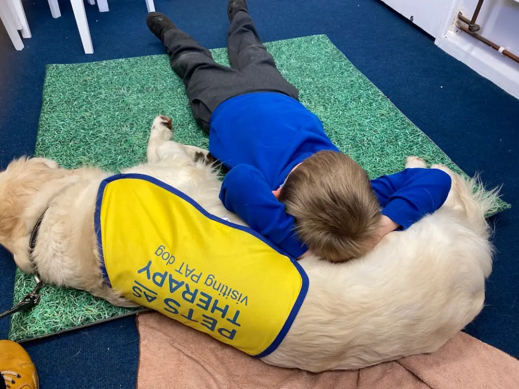 Ganadores de los Premios BetterWithPets.