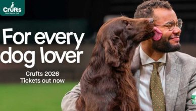 Crufts 2026, todo preparado,