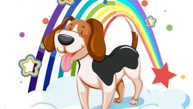 Duelo tras la muerte de un perro.