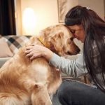 Las razas que más ayudan a las personas con depresión.