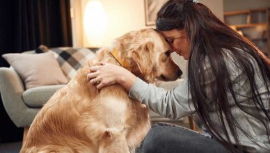 Las razas que más ayudan a las personas con depresión.