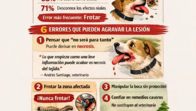 Oruga procesionaria, 6 errores que pueden salir caros.