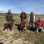 Un Setter Gordon, ganador de la Copa en España Trofeo S.M. el Rey de Gran Búsqueda para perros de muestra británicos La Semana de Primavera de Perros de Muestra corona a los vencedores de las Copas de Su Majestad el Rey.
