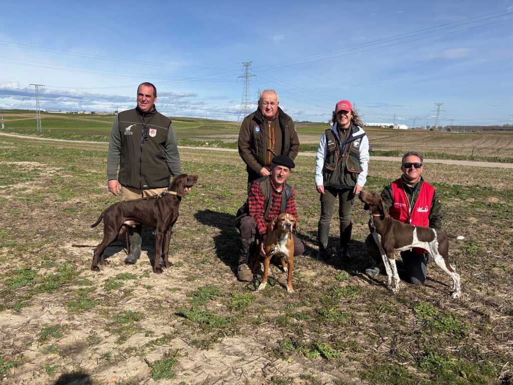 La Semana de Primavera de Perros de Muestra corona a los vencedores de las Copas de Su Majestad el Rey.