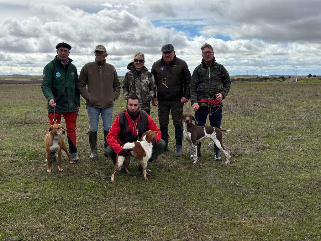 La Semana de Primavera de Perros de Muestra corona a los vencedores de las Copas de Su Majestad el Rey.