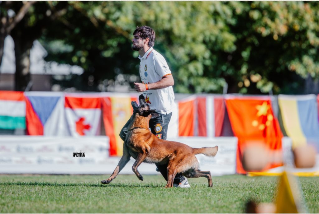 XXX Copa de España de Adiestramiento Canino IGP.