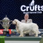 Ganador del premio al Mejor de la Exposición de Crufts 2026.