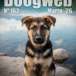 Los mejores artículos de doogweb en marzo 2026.
