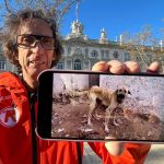 Maltrato a 75 perros en Cádiz Maltrato a 75 perros en Cádiz