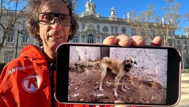 Maltrato a 75 perros en Cádiz