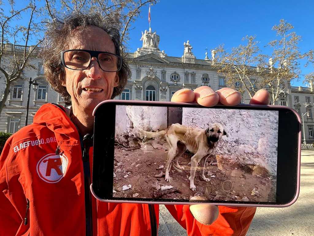 Maltrato a 75 perros en Cádiz