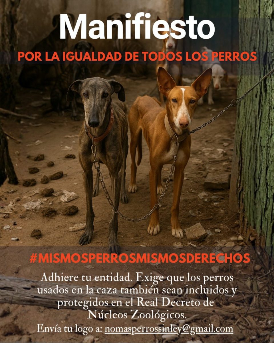 Mismos perros, mismos derechos.
