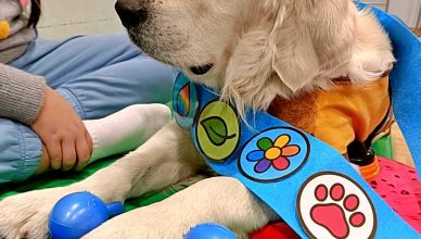 Talleres asistidos con perros en el CPEE Infanta Elena de Madrid.