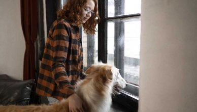 Ansiedad por separación, algunas soluciones al problema.