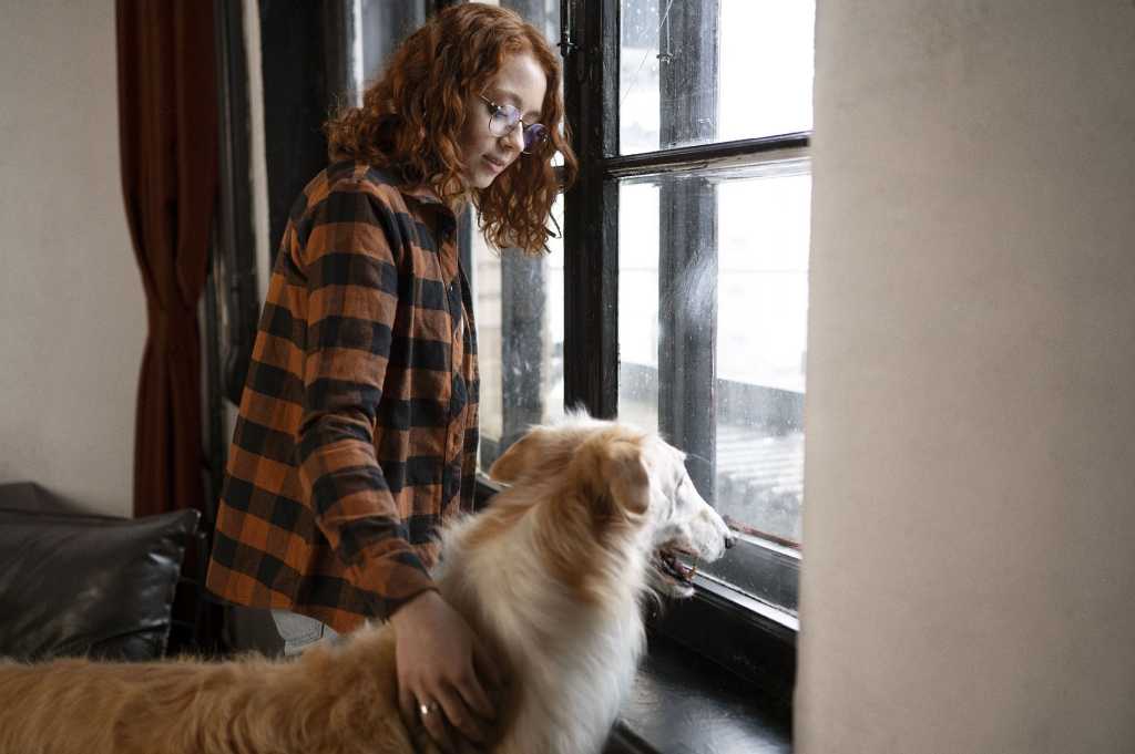 Ansiedad por separación, algunas soluciones al problema.