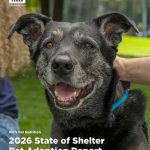 Perros grandes...Menos posibilidades de adopción.