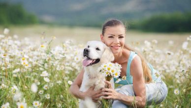Alergias primaverales en perros, recomendaciones.