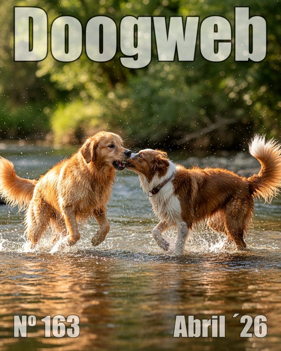 Doogweb 163, resumen de abril 2026.