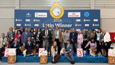 Un Bulldog Inglés y un Basset Hound se coronan como los campeones indiscutibles en las Exposiciones Internacionales Caninas de 2026.