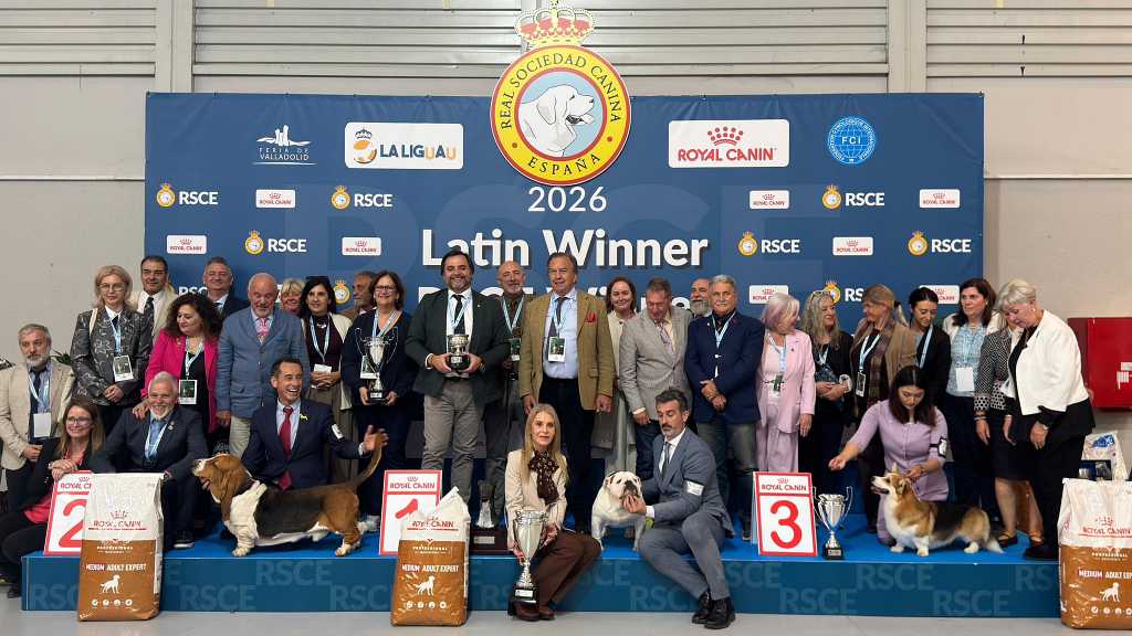Un Bulldog Inglés y un Basset Hound se coronan como los campeones indiscutibles en las Exposiciones Internacionales Caninas de 2026.