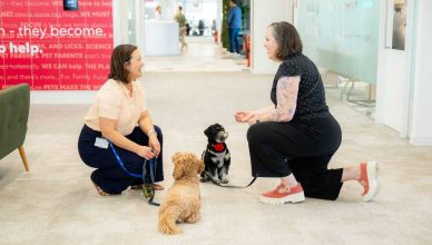 Una nueva encuesta de Mars, Incorporated y Royal Canin realizada a 1.000 empleados y empleadas en España revela que un 33% prioriza las políticas “pet-friendly” de su empresa por encima de los beneficios tradicionales y otras ventajas laborales.