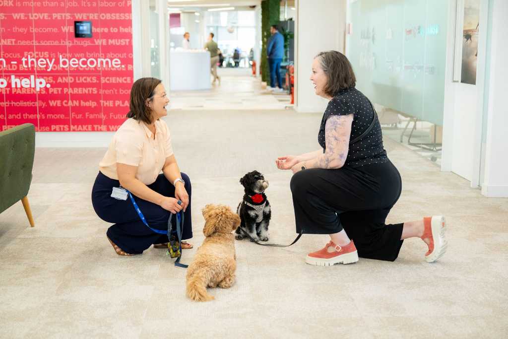 Una nueva encuesta de Mars, Incorporated y Royal Canin realizada a 1.000 empleados y empleadas en España revela que un 33% prioriza las políticas “pet-friendly” de su empresa por encima de los beneficios tradicionales y otras ventajas laborales.