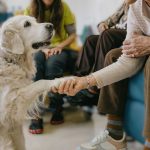 IAA con perros en residencias de personas mayores IAA con perros en residencias de personas mayores.