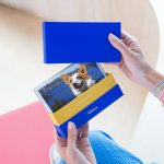 Mascotas: el contenido favorito en RRSS de 1 de cada 4 españoles.