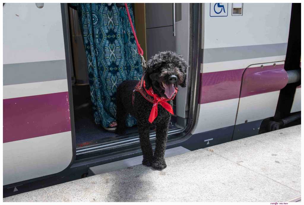Nestlé Purina impulsa junto a Renfe una nueva era de viajes pet friendly donde los perros de hasta 40 kilos podrán viajar en todos los trenes.