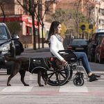 Semana Internacional del Perro de Asistencia Semana Internacional del Perro de Asistencia.