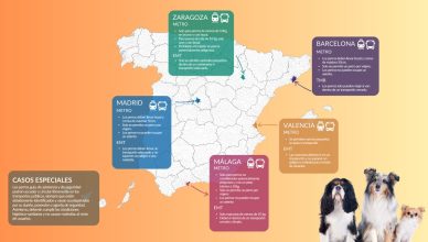 Haen falta normas más claras, homogéneas y previsibles para viajar con perros.