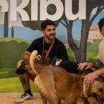 32 protectoras de toda España llevan a Albacete a más de 100 perros en busca de familia 32 protectoras de toda España llevan a Albacete a más de 100 perros en busca de familia.