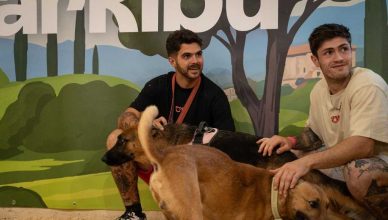 32 protectoras de toda España llevan a Albacete a más de 100 perros en busca de familia.