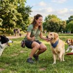 Más de un perro en casa, ¿es una manada? Más de un perro en casa, ¿es una manada?