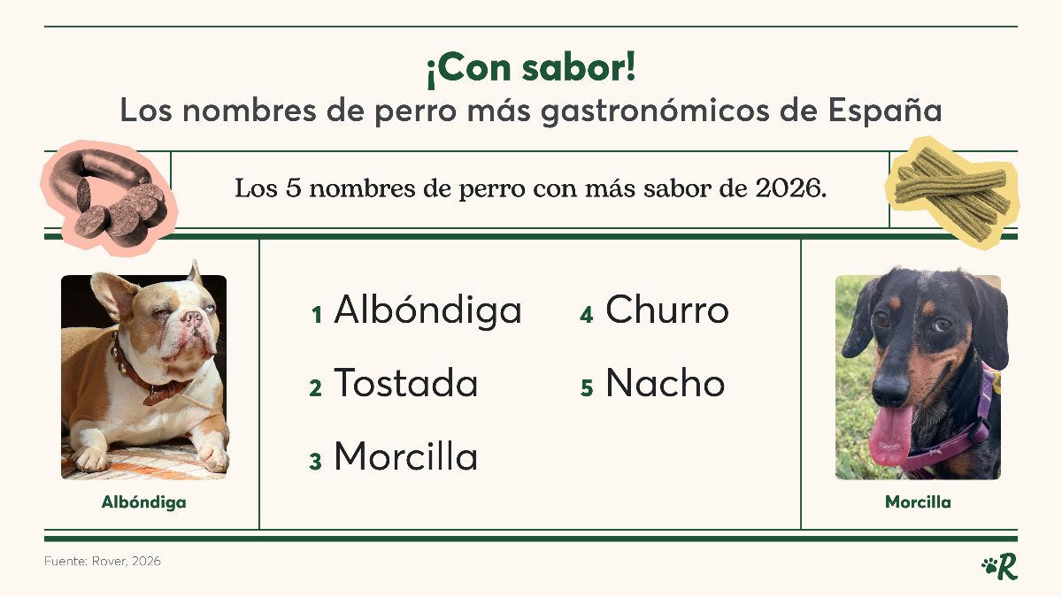 Ranking nombres de perros 2026.
