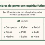 Ranking nombres de perros 2026 Ranking nombres de perros 2026.