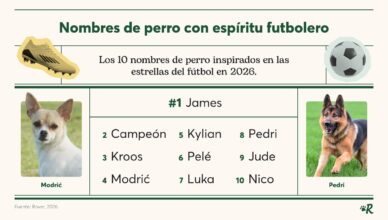 Ranking nombres de perros 2026.