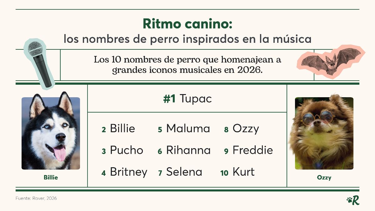 Ranking nombres de perros 2026.