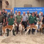Los podencos españoles protagonizan la IV Copa de Trabajo disputada en Albacete.