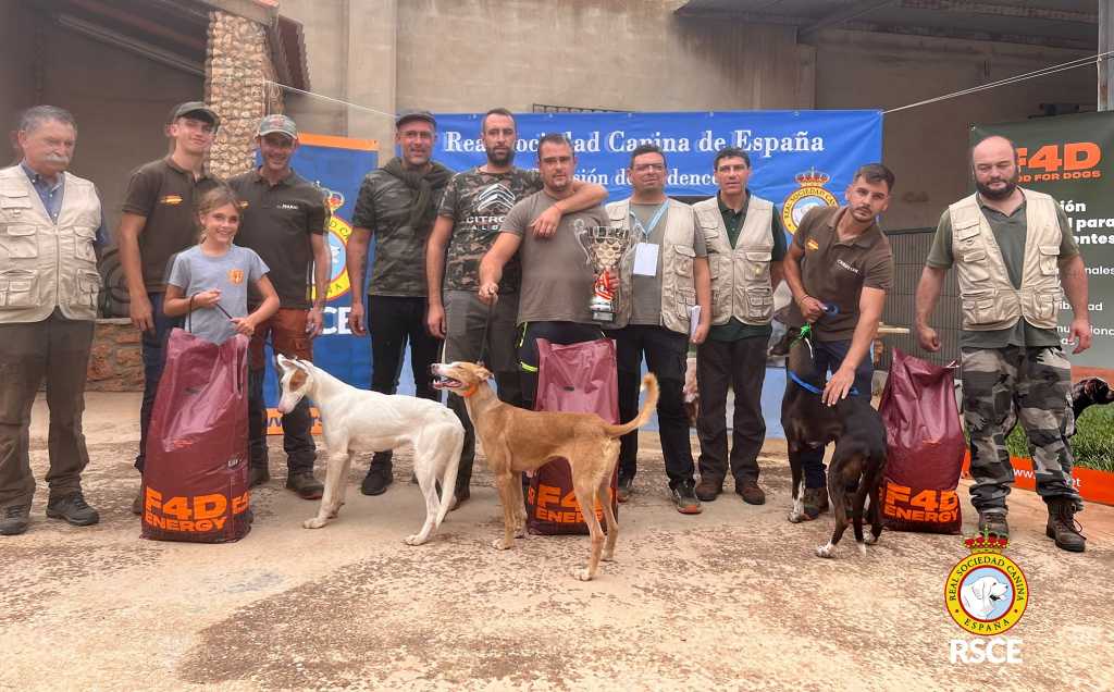 Los podencos españoles protagonizan la IV Copa de Trabajo disputada en Albacete.